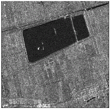 SAR image registration method based on line and area