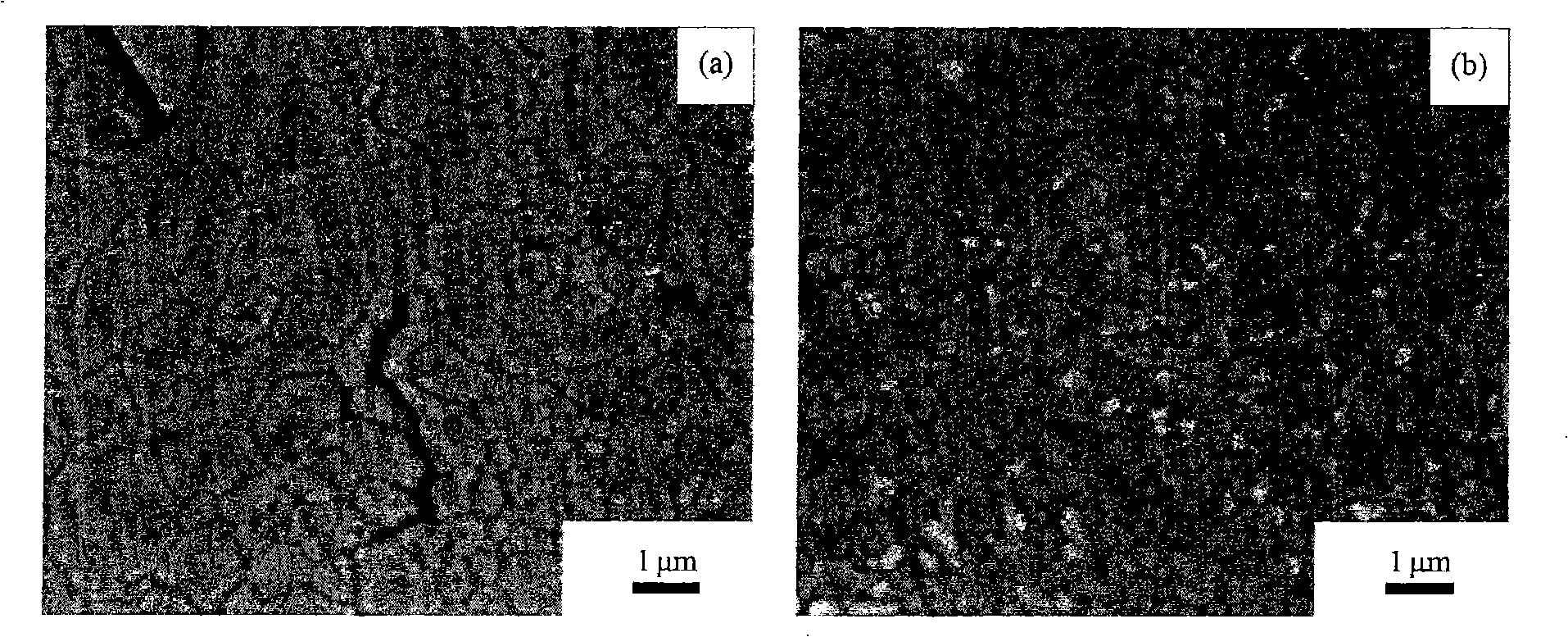 Yttrium coated stable zirconium oxide powder, preparation and application thereof