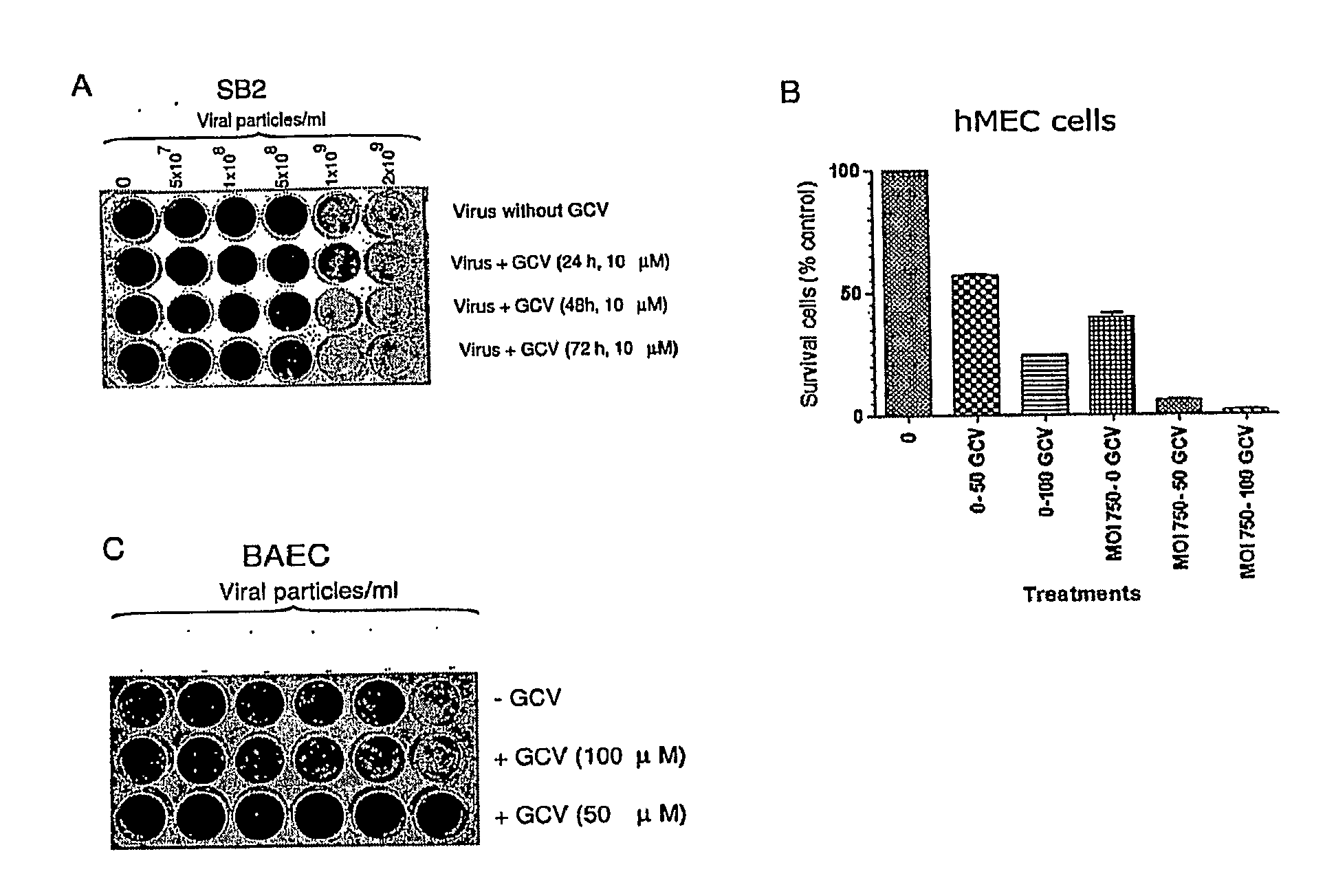 Isolated DNA fragment of the sparc human promoter and its use for driving the expression of an heterologous gene in tumor cells