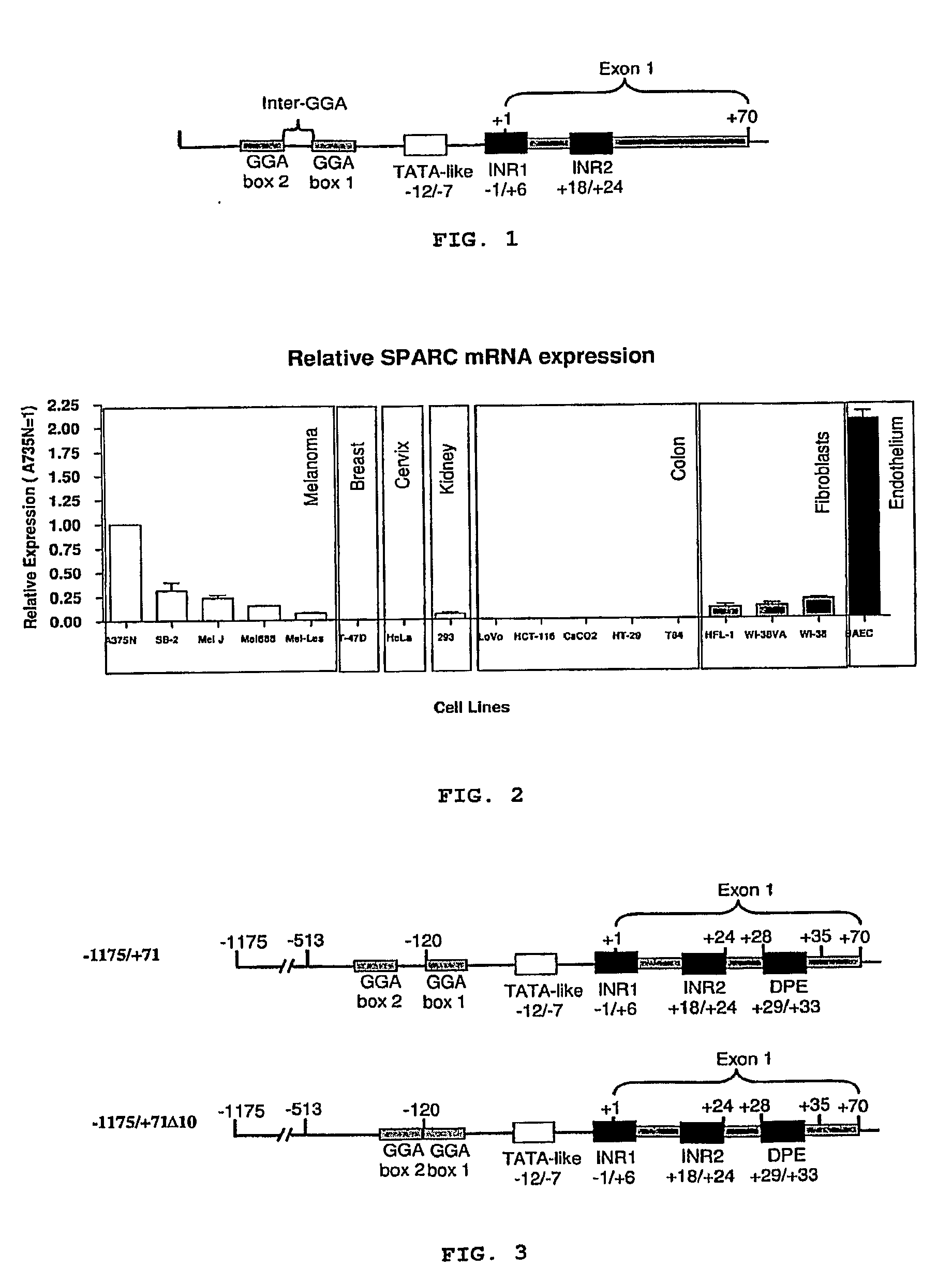 Isolated DNA fragment of the sparc human promoter and its use for driving the expression of an heterologous gene in tumor cells