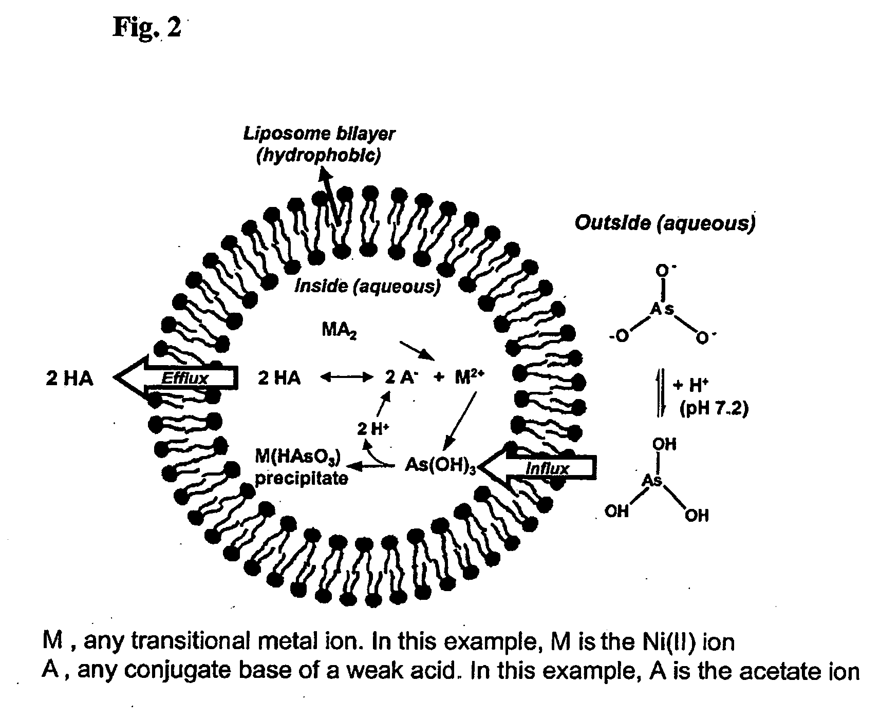 Encapsulated arsenic drugs