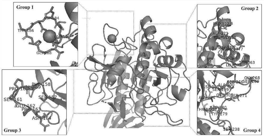 Keratinase mutant with improved thermal stability and application