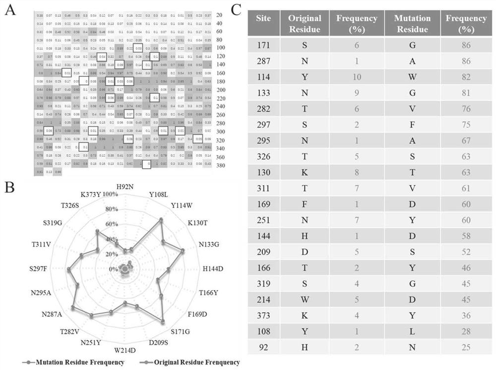 Keratinase mutant with improved thermal stability and application