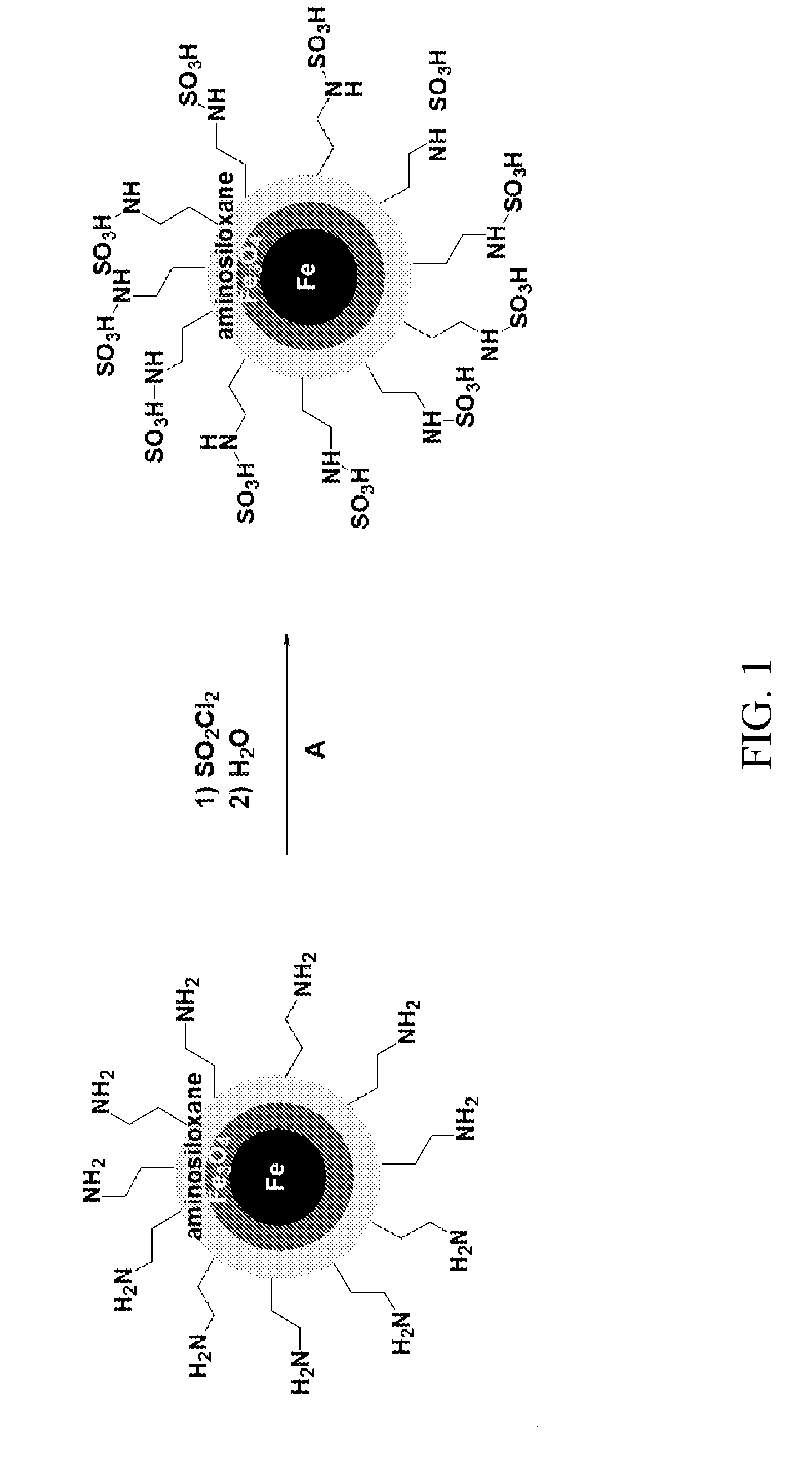 Acid-functionalized nanoparticle catalyst and catalyzed reactions using the same