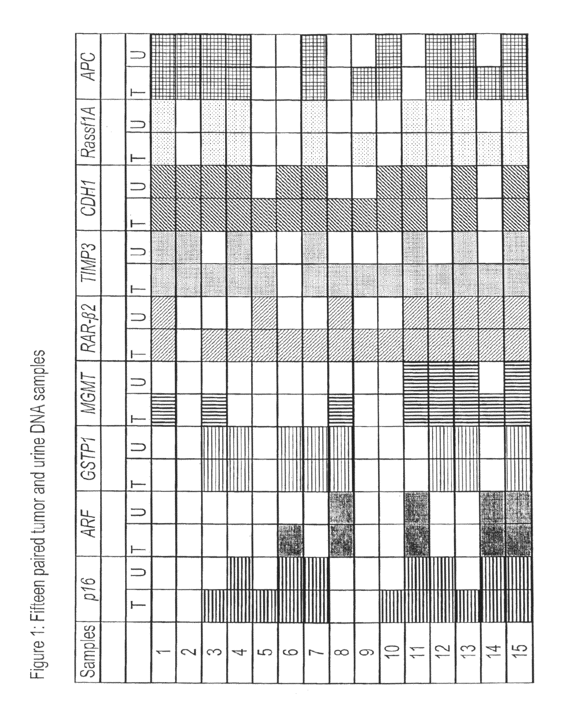 Neoplasia screening compositions and methods of use