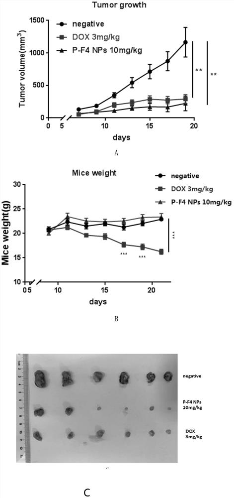 A kind of PD-1 targeting blocking peptide and its application