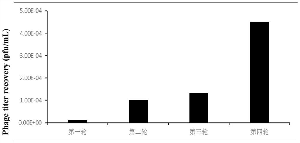 A kind of PD-1 targeting blocking peptide and its application