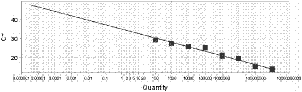 Fluorescent quantitation PCR (photo-conductive relay) primer combination and method for rapid detection of dog babesia and kit with fluorescent quantitation PCR primer combination