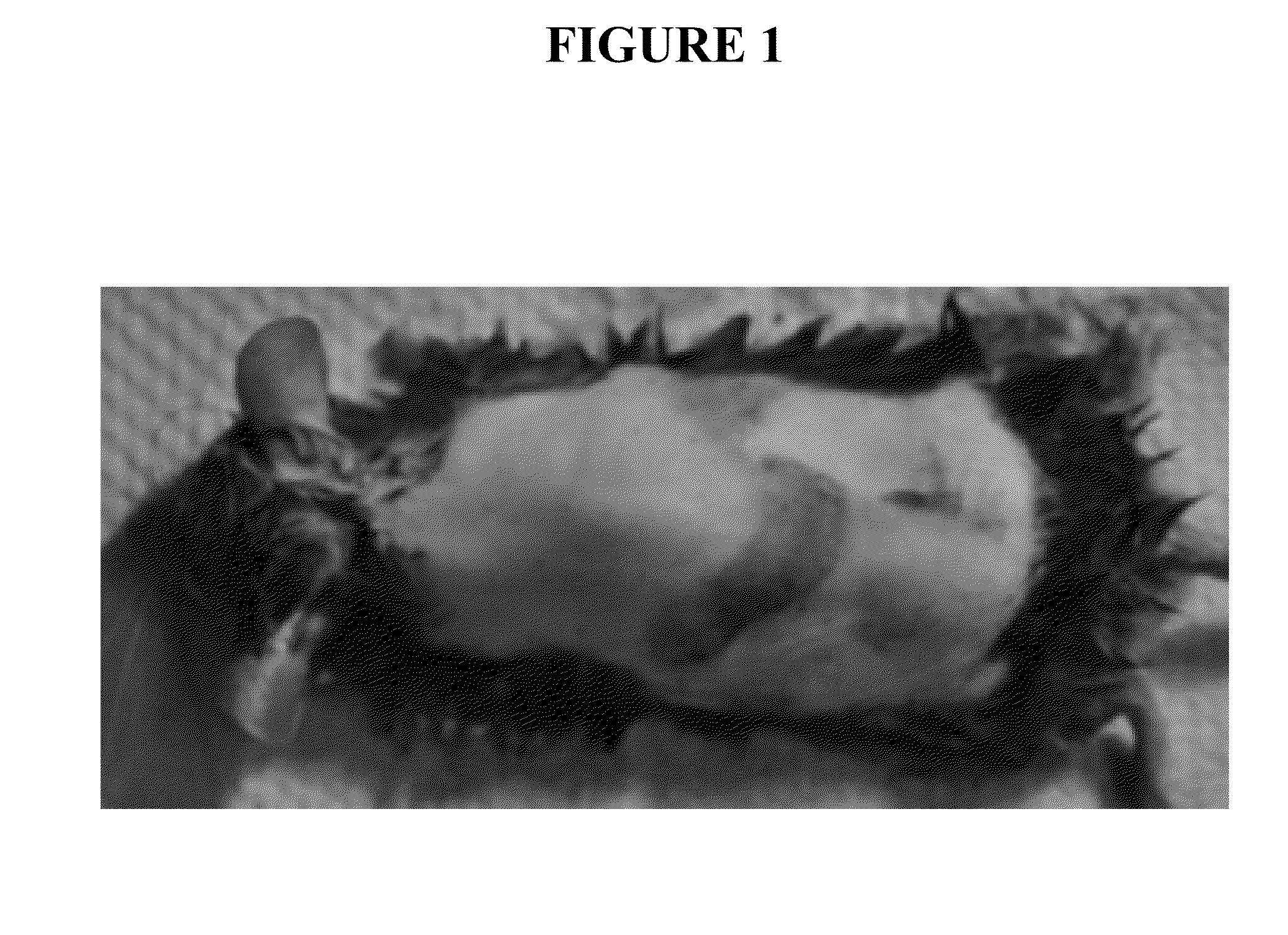 Topical delivery of hormonal and non hormonal NANO formulations, methods of making and using the same