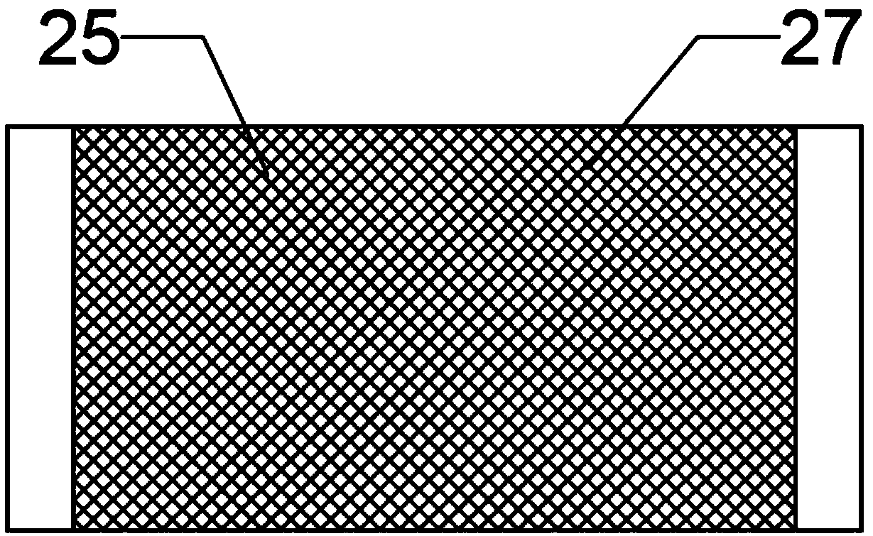 Horizontal ballast water filtering device with pleated filter screen