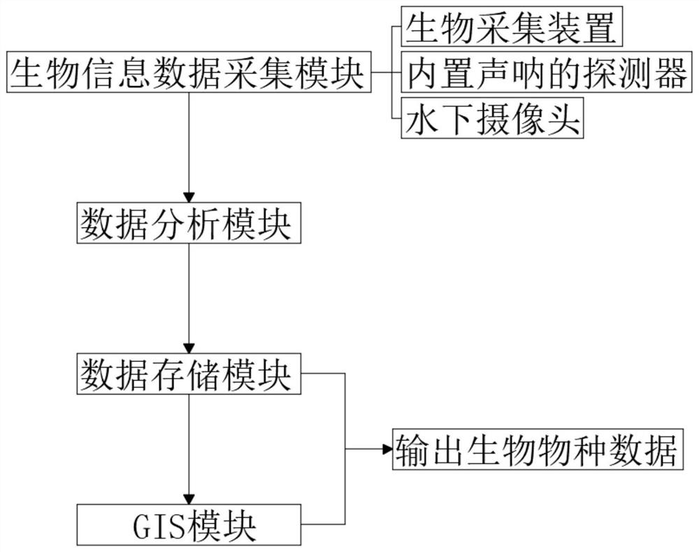 GIS-based survey and management information system for aquatic organisms in Yangtze River
