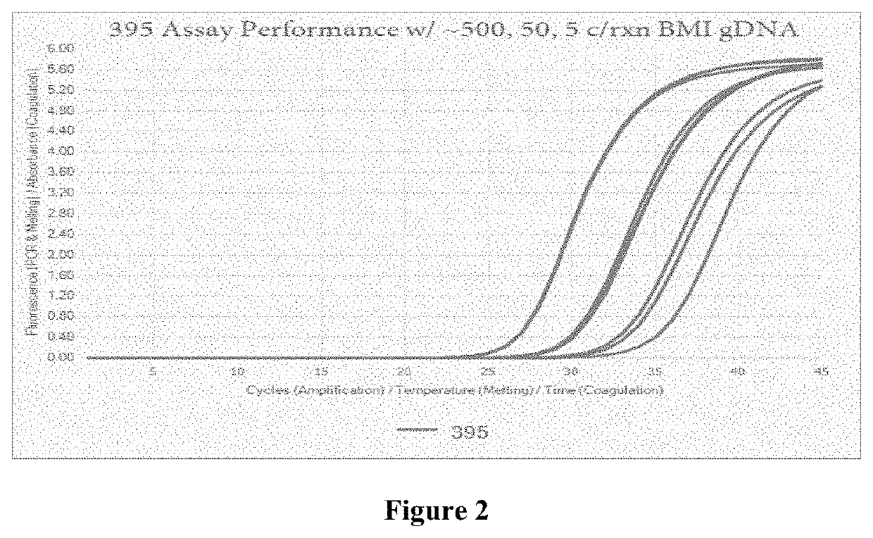 Compositions and methods for detection of <i>Babesia </i>