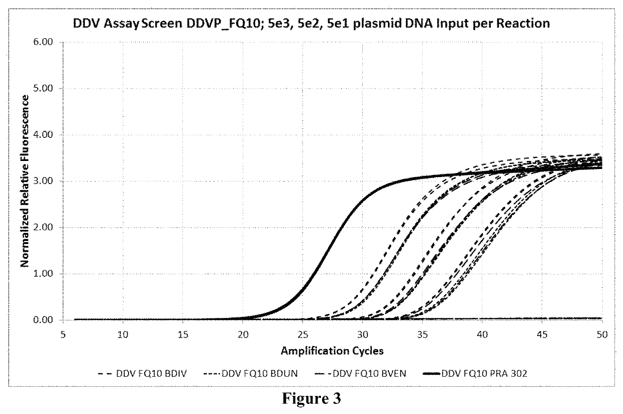 Compositions and methods for detection of <i>Babesia </i>