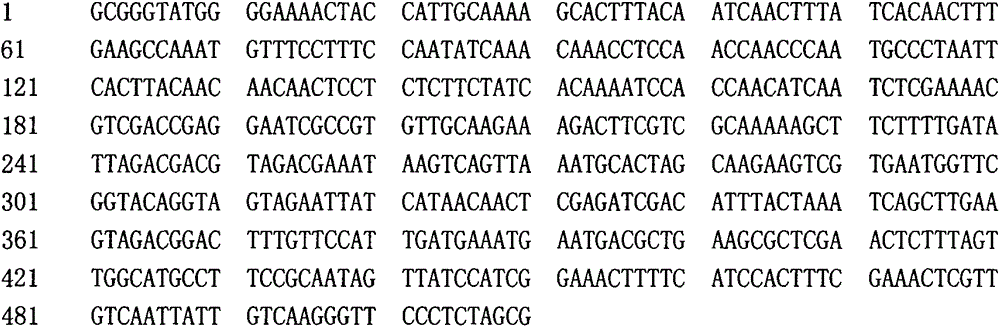 Bottle gourd virus resistance-related gene segment or gene markers and application of gene segments or gene markers