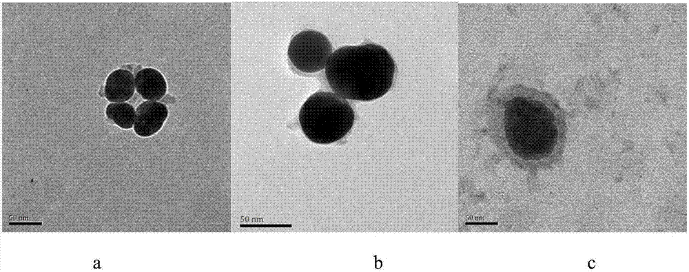 Method for detecting SERS of aflatoxin B1 molecules based on molecularly imprinted polymer coated gold core-shell nanoparticles