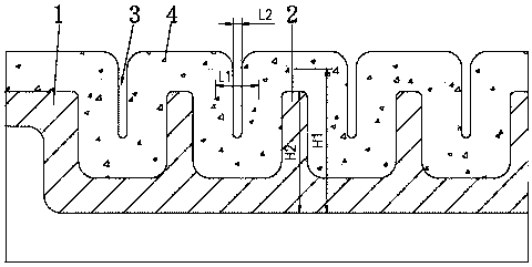 Perforation ejecting head and surface treatment method thereof