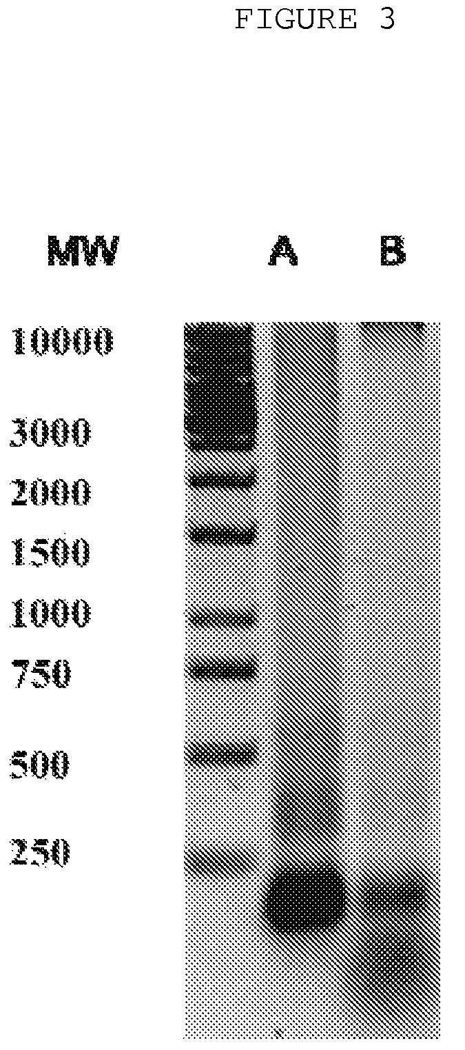 Method for treating systemic bacterial, fungal and protozoan infection