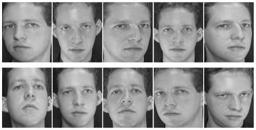 Single-sample face recognition method based on block linear reconstruction discriminant analysis