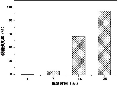 A kind of preparation method and application of cement-based material additive