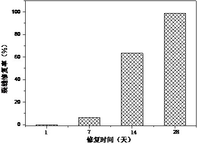 A kind of preparation method and application of cement-based material additive