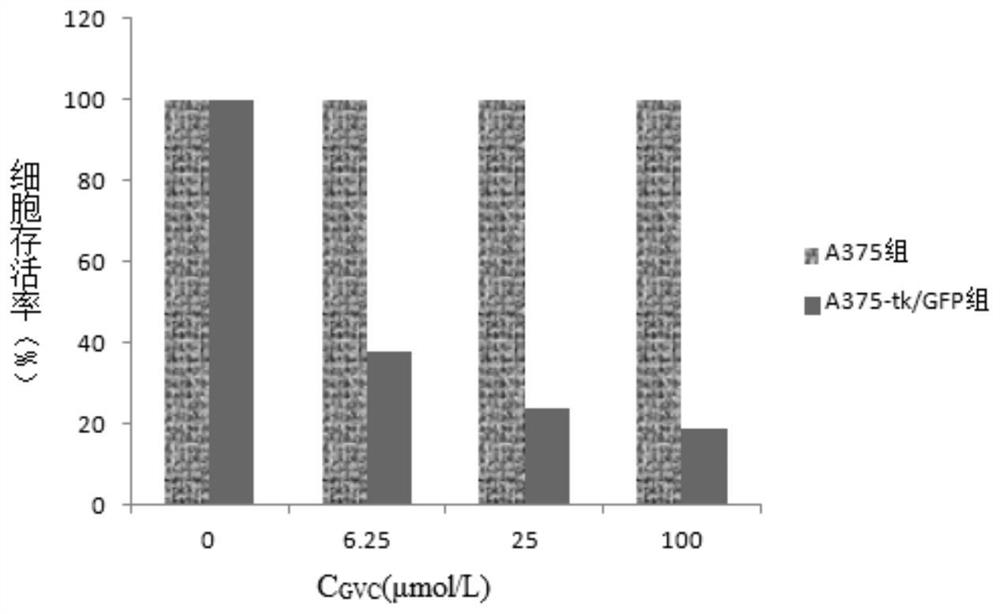 Application of Tianqingdibai Extract as Gene Therapy Sensitizer