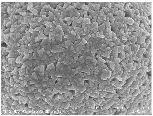 Preparation method and application of an in-situ carbon-coated binary transition metal oxide heterojunction bowl-shaped nanocomposite