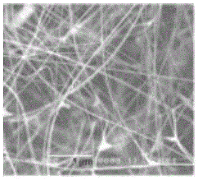 A semi-metallic Hasler alloy co  <sub>2</sub> Preparation method and application of feal nanowire