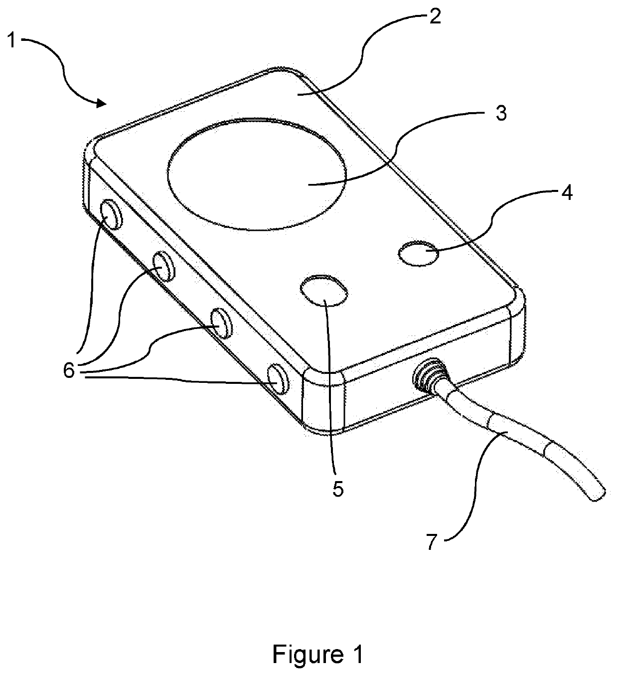 Fall prevention device