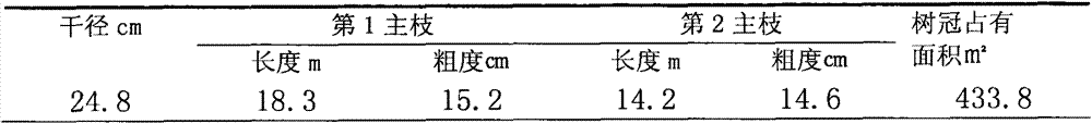 Balanced shaping and pruning method for grapevine