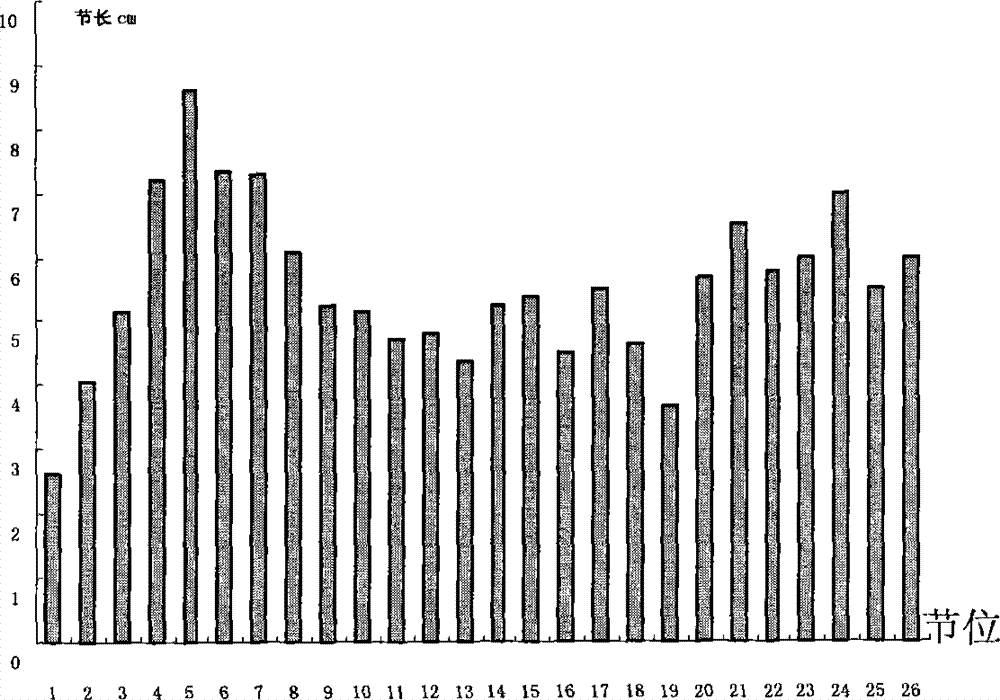 Balanced shaping and pruning method for grapevine