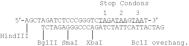 Protein complexes having factor VIII:C activity and production thereof