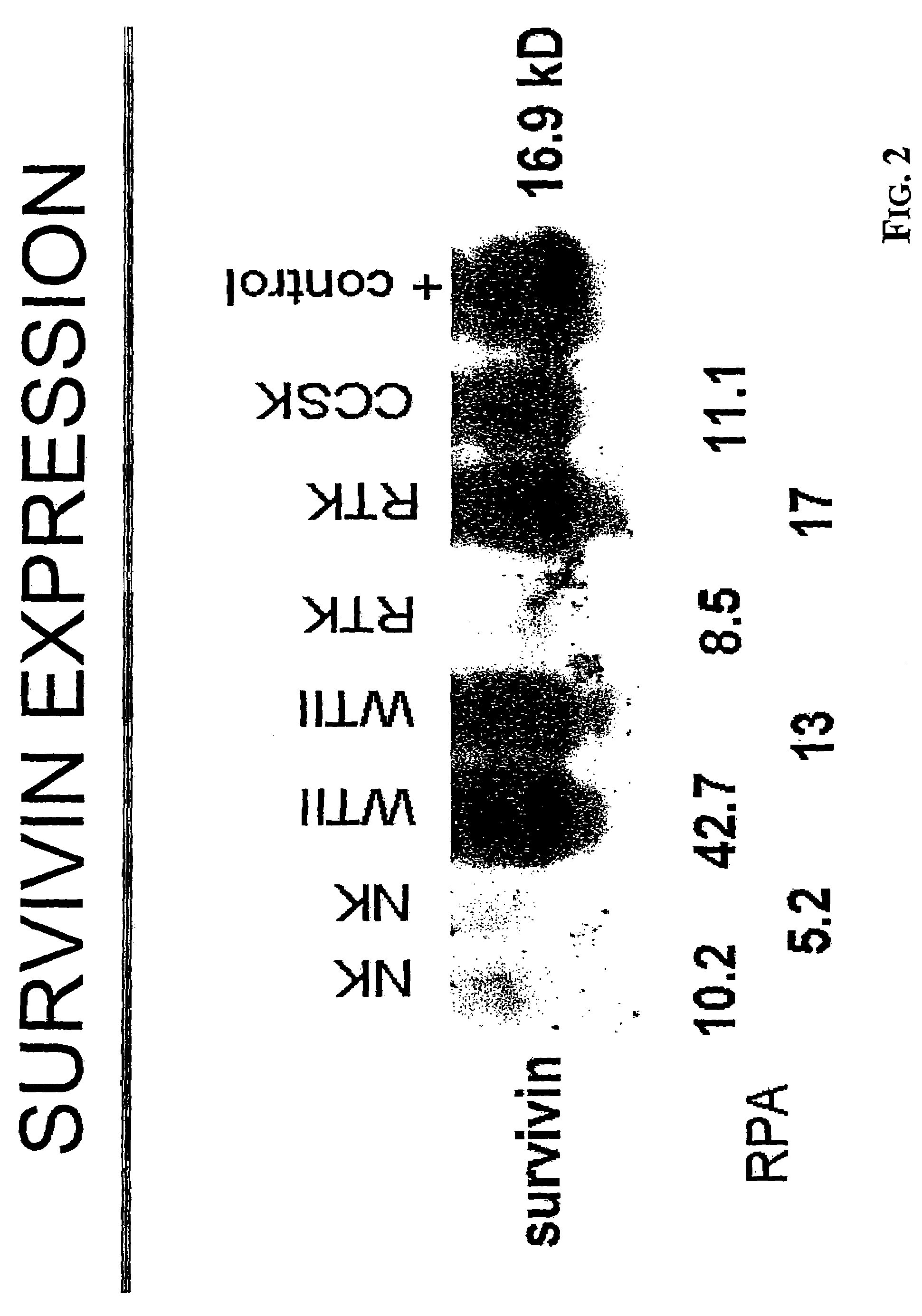 Method for predicting tumor recurrence