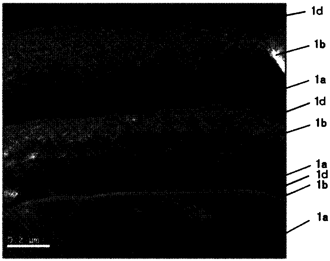 Coating film, manufacturing method therefor, and PVD apparatus