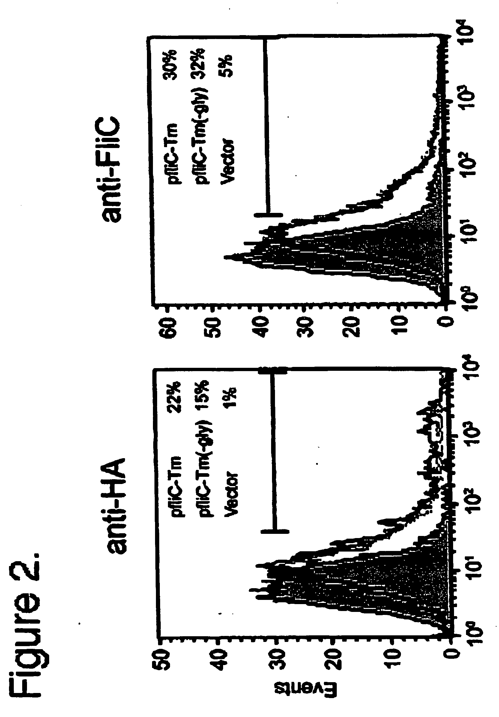 Use of Flagellin as an Adjuvant for Vaccine