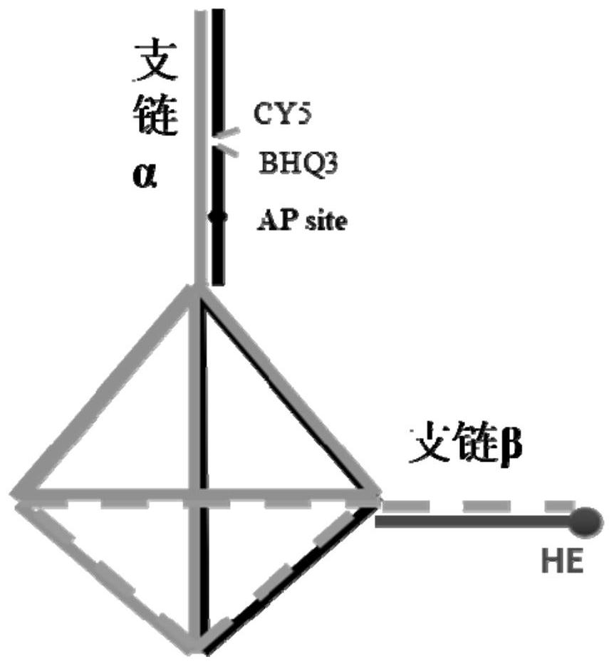 A kind of nucleic acid nanostructure probe and its preparation method and application