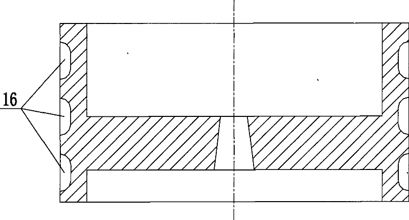 Dry vacuum pump