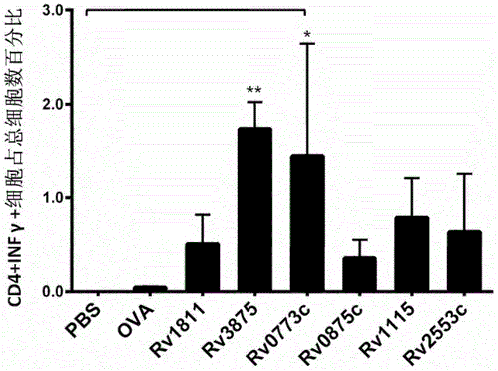 Tuberculosis immunodiagnostic molecular marker and its vaccine application