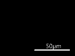 Four-layer composite micro-nano fibrous air filtration membrane and application thereof