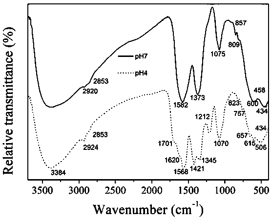 Preparation method and application of functionalized nanometer ferrihydrite