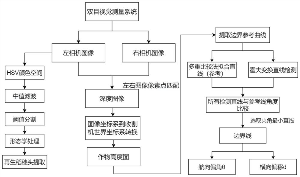 A system and method for harvesting control of ratooned rice in wide and narrow rows based on binocular vision