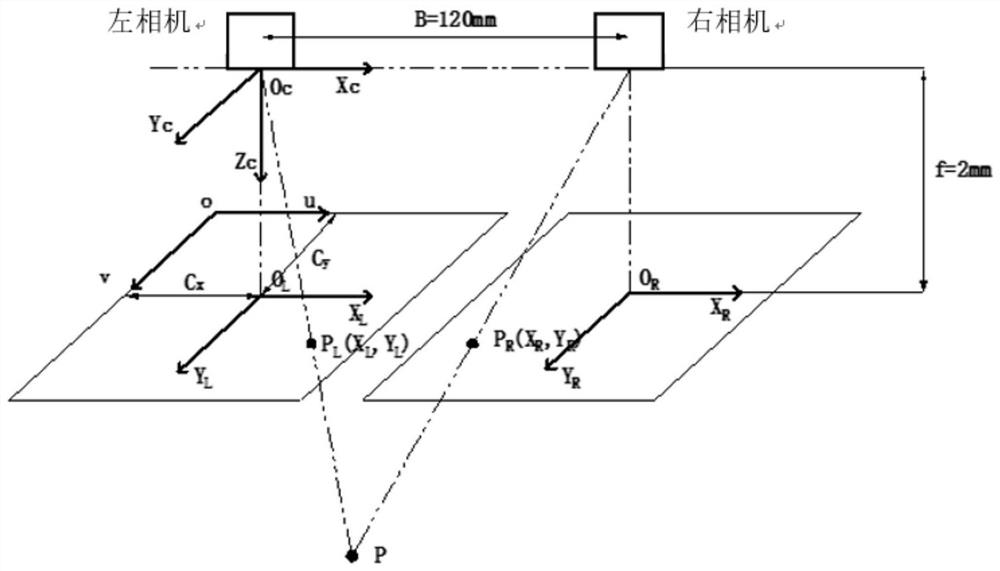 A system and method for harvesting control of ratooned rice in wide and narrow rows based on binocular vision