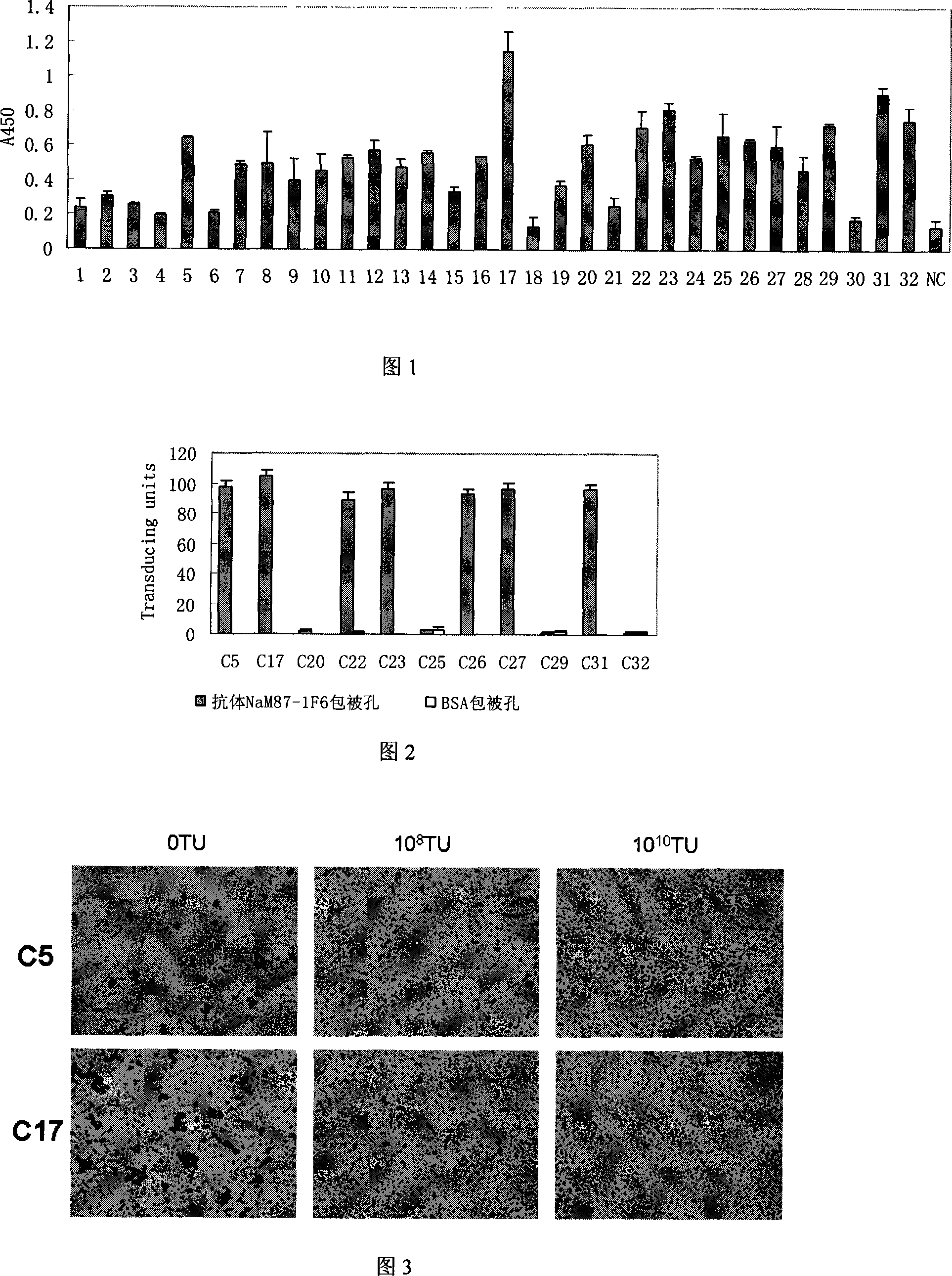 Blood group A antigen epitope mimic peptide and its filtration method