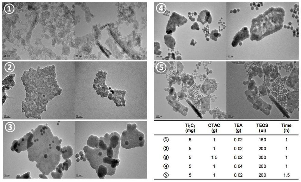 A sustained-release preparation for tumor targeting therapy and its preparation method