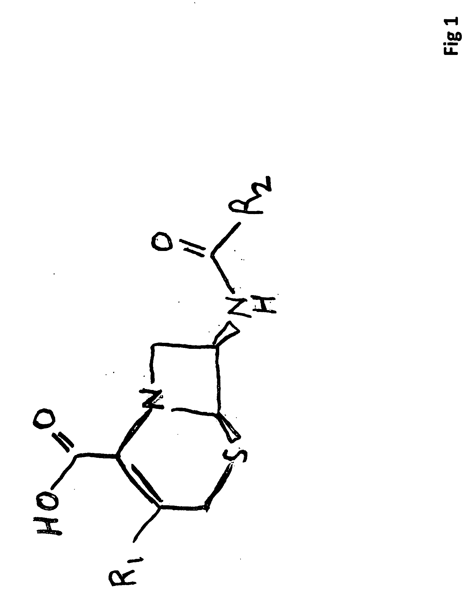 Antibiotic compositions and methods