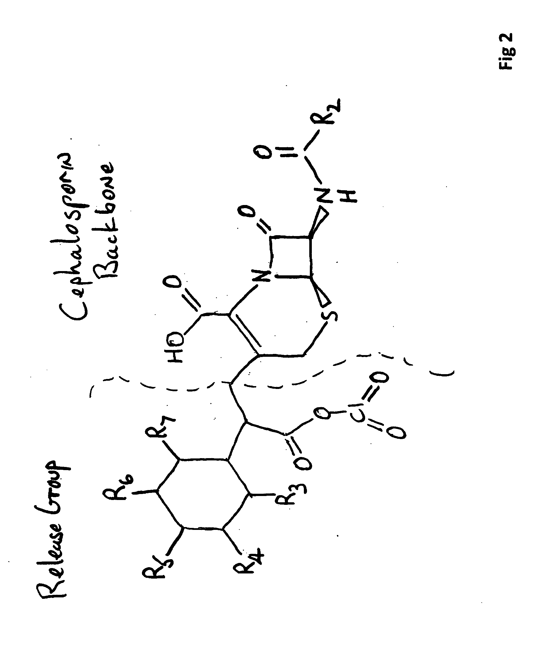 Antibiotic compositions and methods