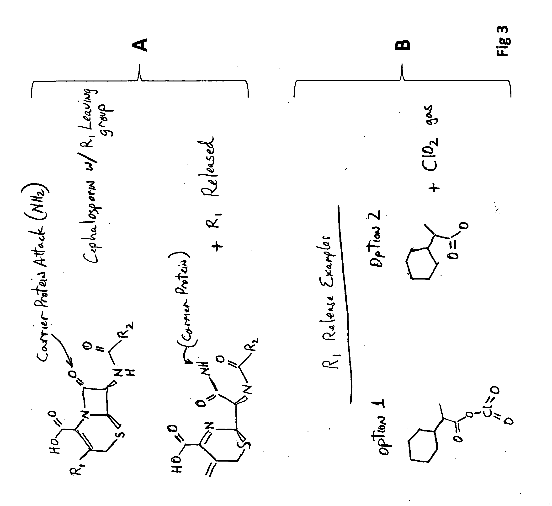 Antibiotic compositions and methods