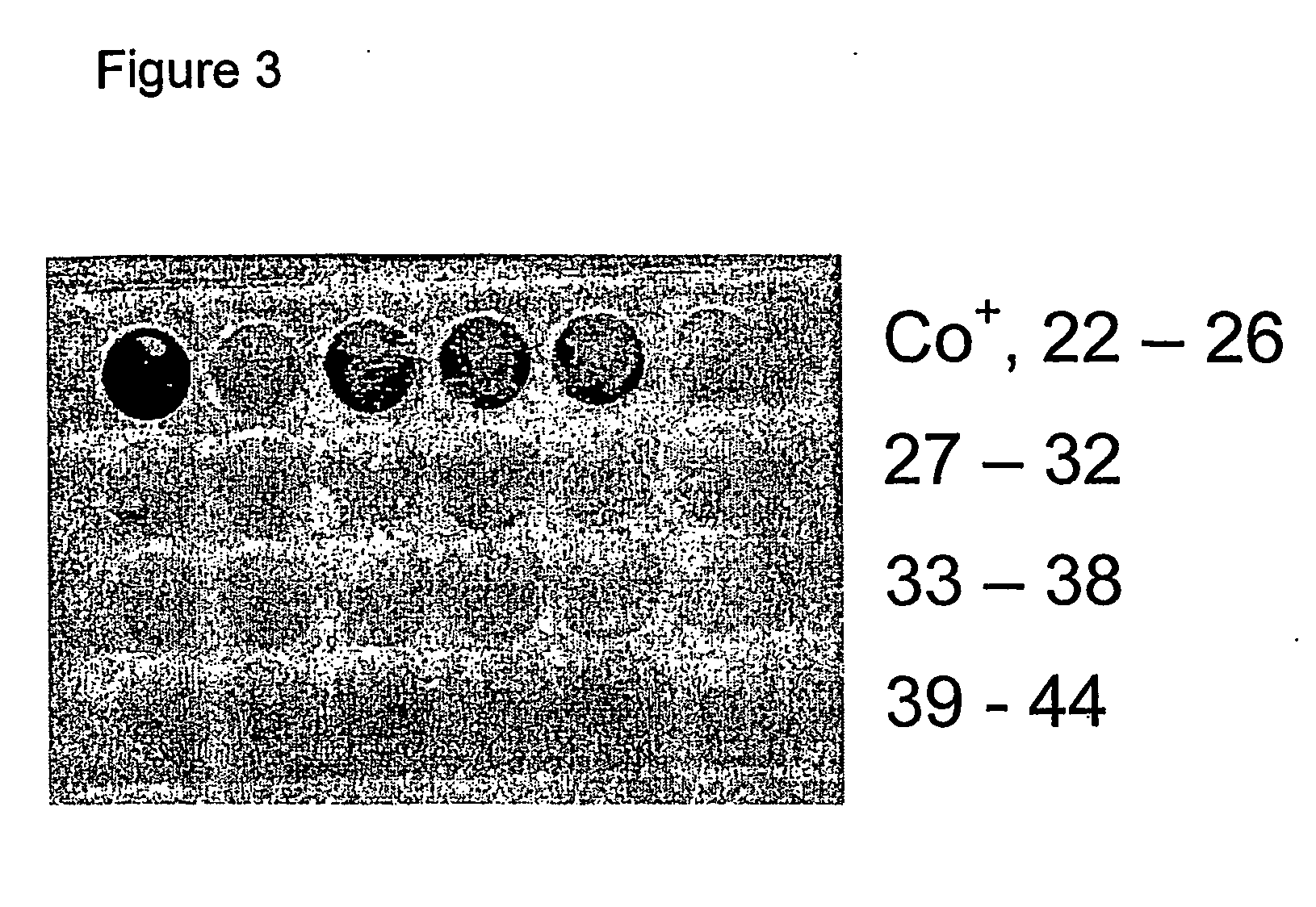 Follicular fluid for prolonged growth and survival of cells for cell therapies