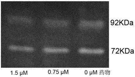 Novel multifunctional podophyllotoxin derivate as well as preparation method and application thereof