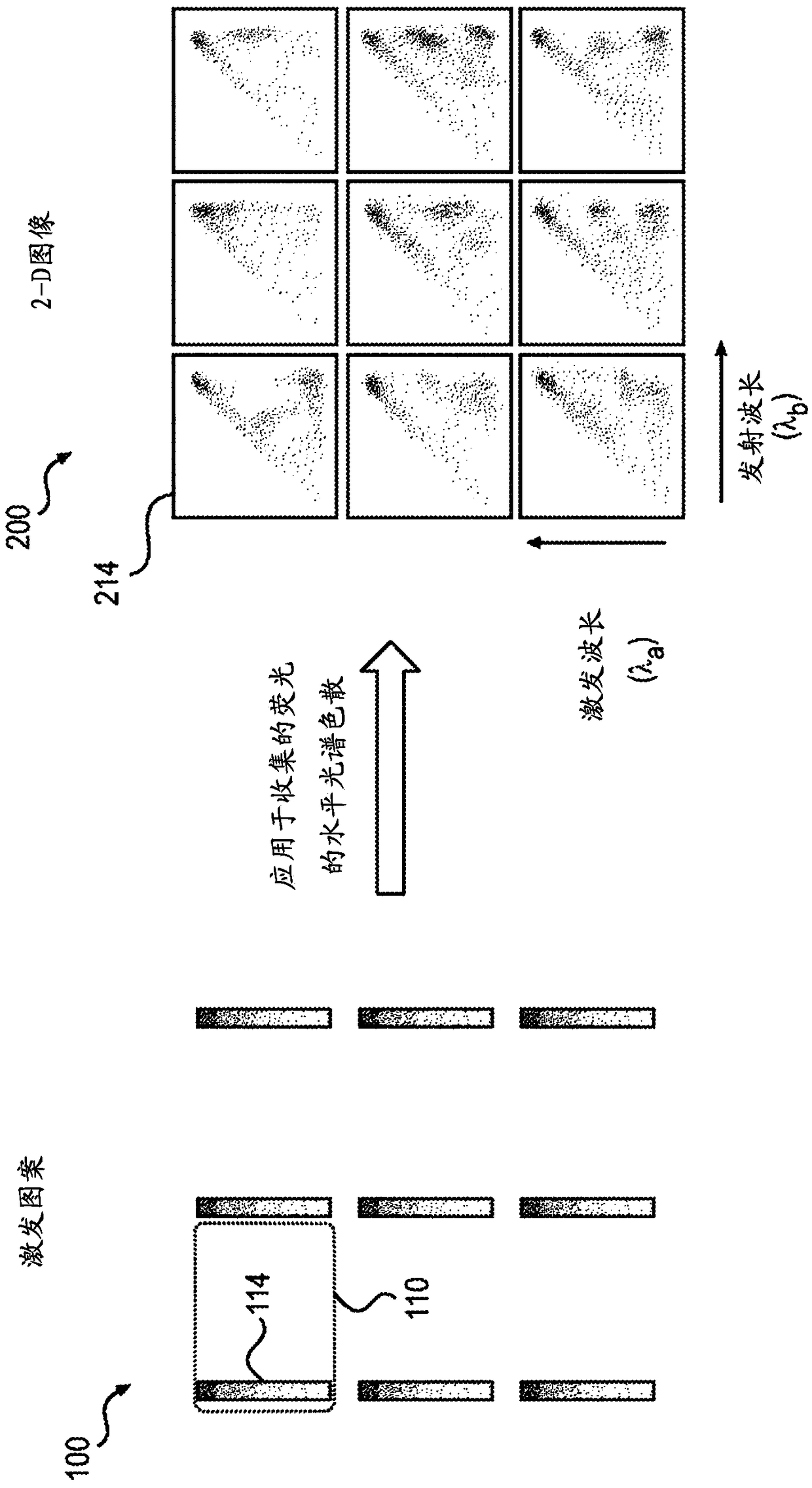 Systems and methods for 4-d hyperspectrial imaging