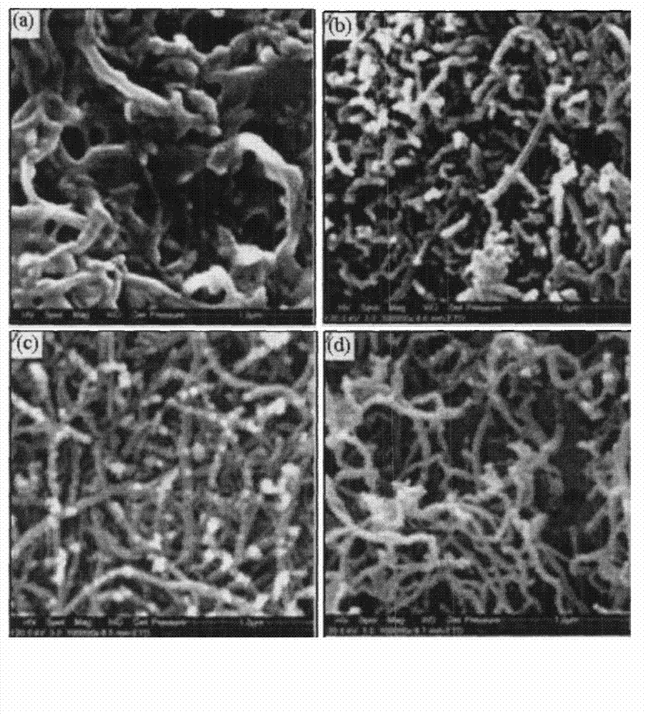 Processing method of field emitting cathode